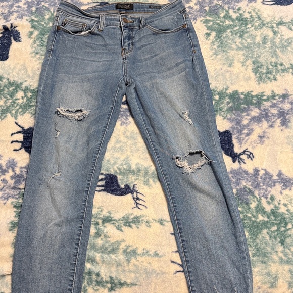 Judy Blue Light Blue Skinny Jeans - Picture 2 of 4